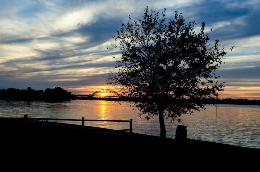 sunset, delaware river, tree