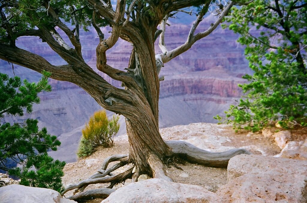 grand canyon, canyon, valley