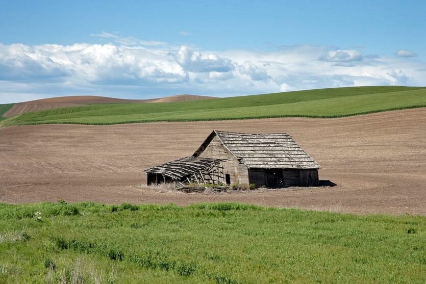 idaho, landscape, field