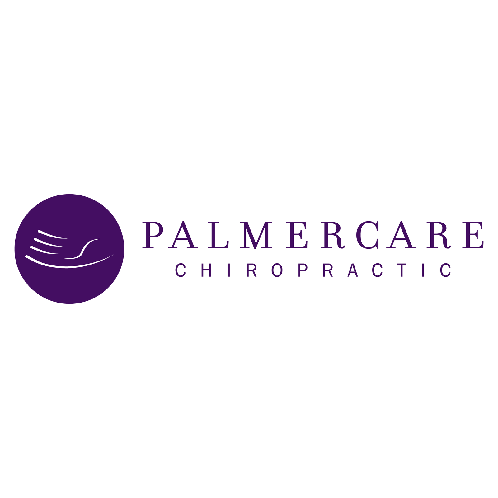 Chiropractic-Care-Palmercare11